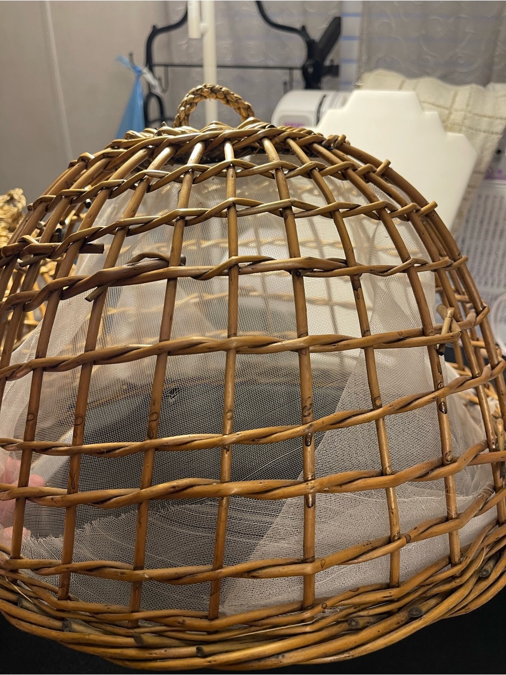 Woven Rattan Food Cover in Natural Brown